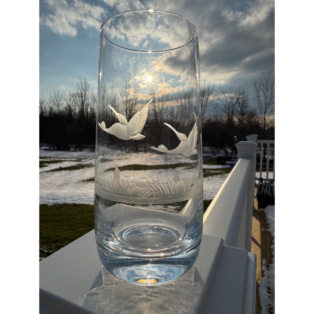 VTG E&AB Kristallglas Germany Wildlife Crystal Highball Set 6 Etched EUC RARE!
